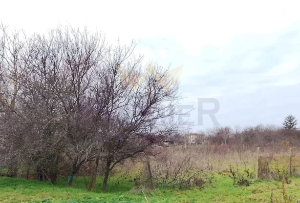 Агенция за недвижими имоти - Имоти Премиер - имот - 971217, Цена: 32000 EUR