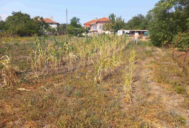 סוכנות נדל״ן - Imoti Premier - imot - 1199447, מחיר: 11000 EUR