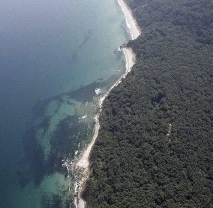 Агенция за недвижими имоти - Имоти Премиер - имот - 53063, Цена: 230000 EUR