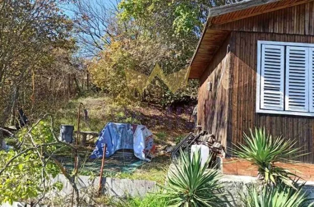 Агенция за недвижими имоти - Имоти Премиер - имот - 1001642, Цена: 41500 EUR