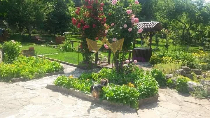 18186 -  - снимка 11 - Имоти Премиер