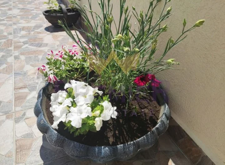 2-стаен апартамент с обща площ 135 кв.м  в гр. Бяла, обл. Варна -  - снимка 11 - Имоти Премиер