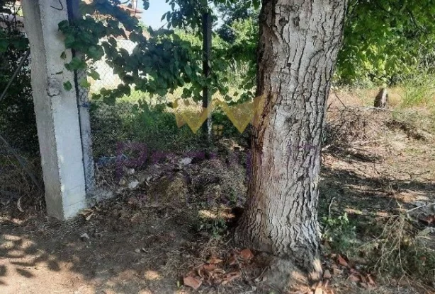 Агенция за недвижими имоти - Имоти Премиер - имот - 1193052, Цена: 77500 EUR