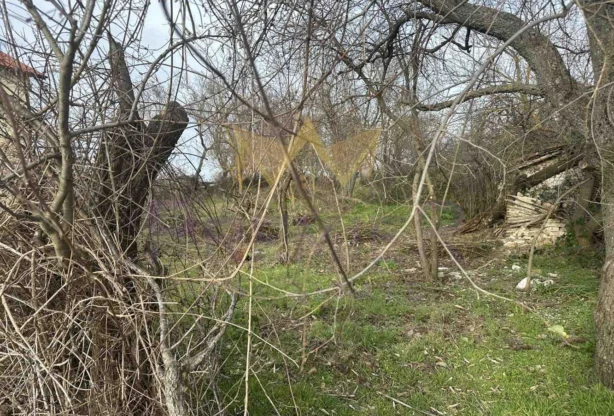 Агенция за недвижими имоти - Имоти Премиер - имот - 980580, Цена: 50000 EUR