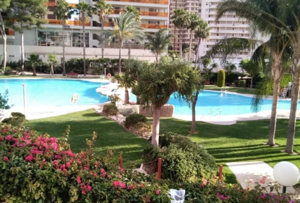 סוכנות נדל״ן - Imoti Premier - imot - 1207646, מחיר: 406000 EUR