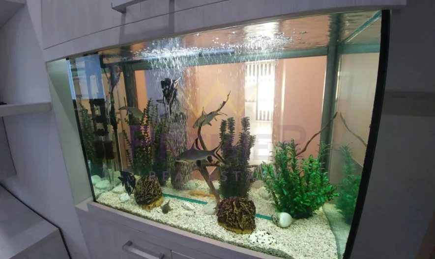 304635 -  - снимка 14 - Имоти Премиер