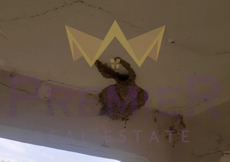 336220 -  - снимка 3 - Имоти Премиер