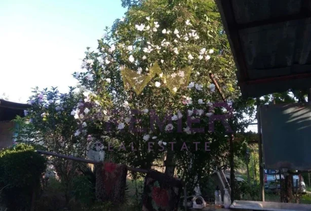 336767 - - снимка 2 - Имоти Премиер