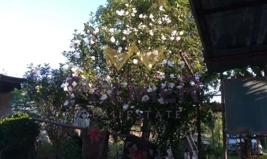 336767 -  - снимка 3 - Имоти Премиер