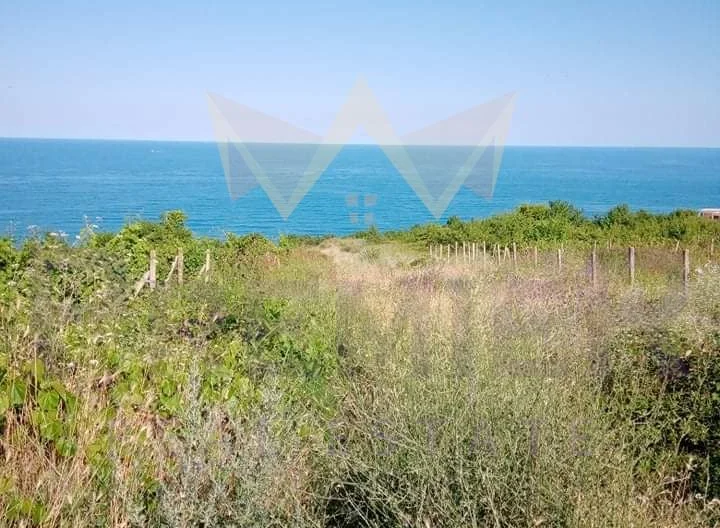 337514 -  - снимка 1 - Имоти Премиер