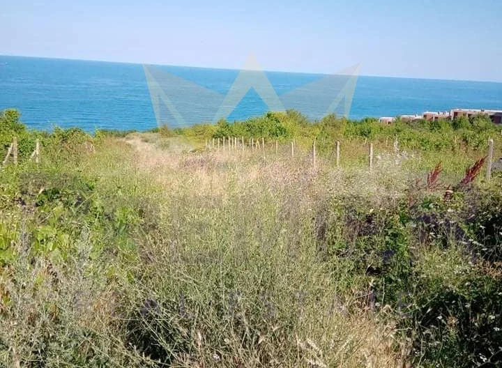 337514 -  - снимка 2 - Имоти Премиер