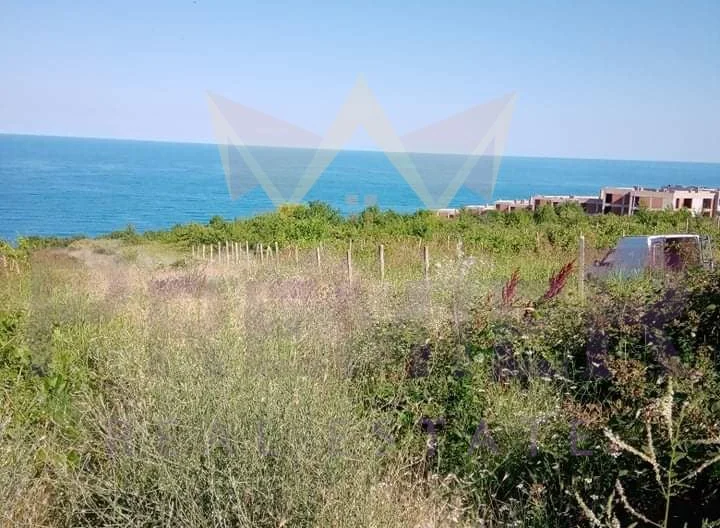 337514 -  - снимка 3 - Имоти Премиер