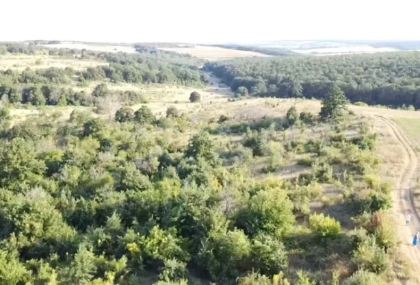 Агенция за недвижими имоти - Имоти Премиер - имот - 683839, Цена: 150000 EUR