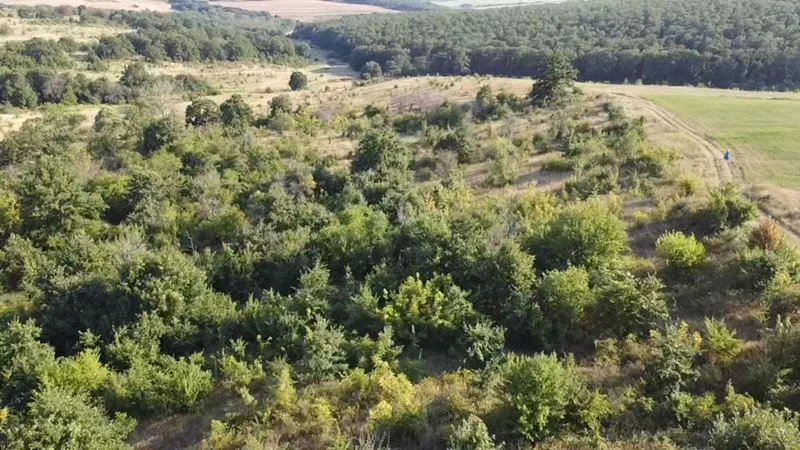 338200 -  - снимка 11 - Имоти Премиер