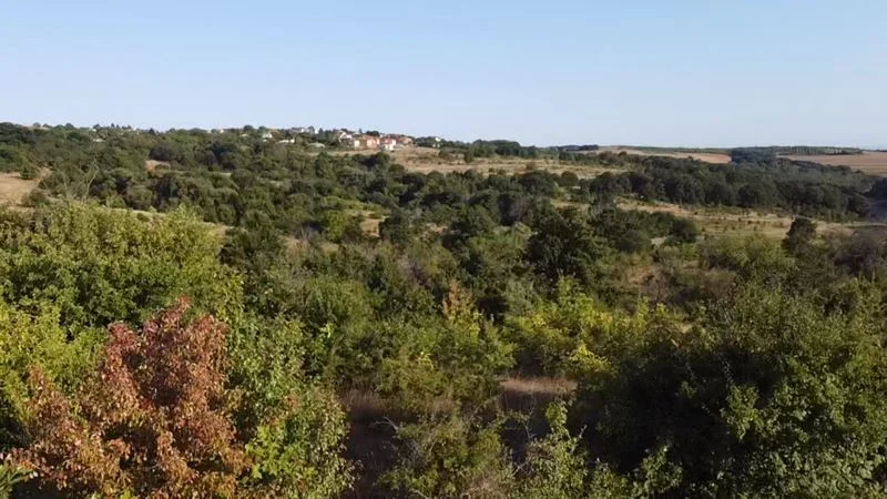 338200 -  - снимка 12 - Имоти Премиер