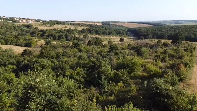 338200 - - снимка 12 - Имоти Премиер