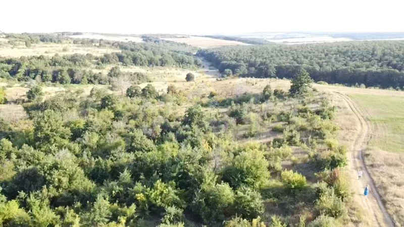 338200 -  - снимка 16 - Имоти Премиер