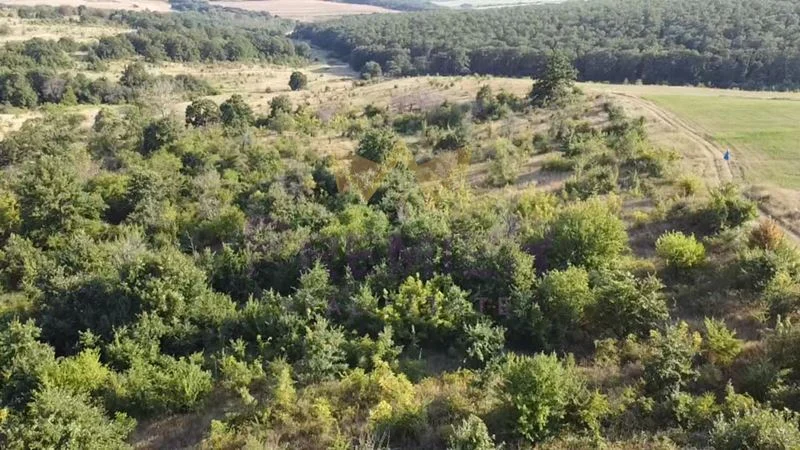 338200 -  - снимка 18 - Имоти Премиер