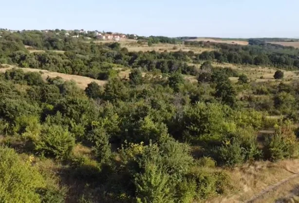 Агенция за недвижими имоти - Имоти Премиер - имот - 683839, Цена: 150000 EUR