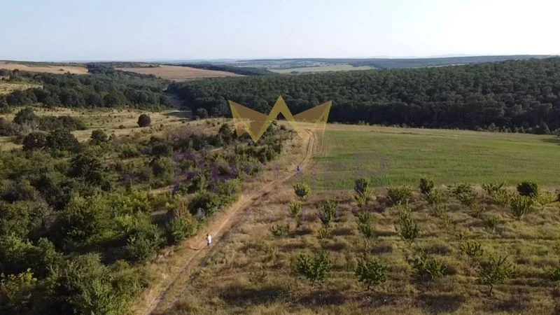 338200 -  - снимка 22 - Имоти Премиер