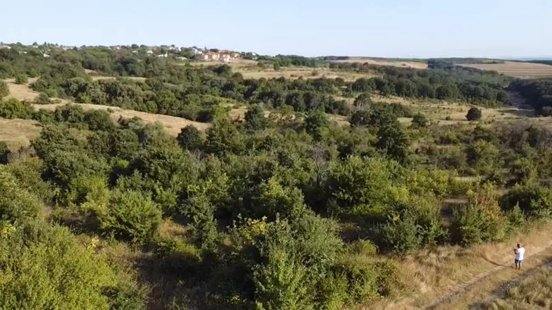 338200 -  - снимка 3 - Имоти Премиер