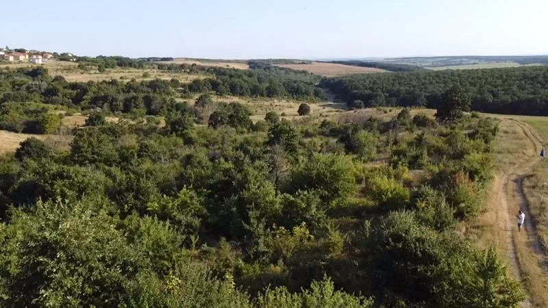 338200 -  - снимка 4 - Имоти Премиер