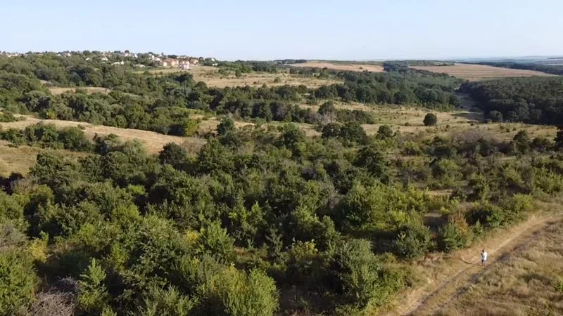 338200 - - снимка 6 - Имоти Премиер