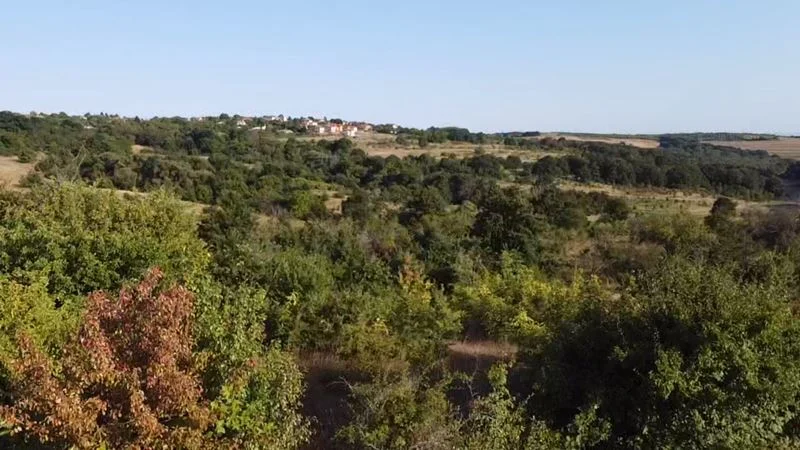 338200 - - снимка 7 - Имоти Премиер