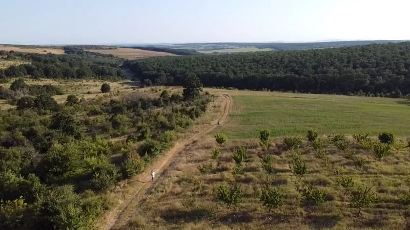 338200 -  - снимка 9 - Имоти Премиер