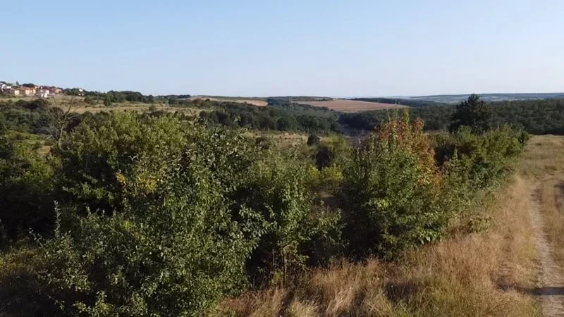 338200 - - снимка 9 - Имоти Премиер