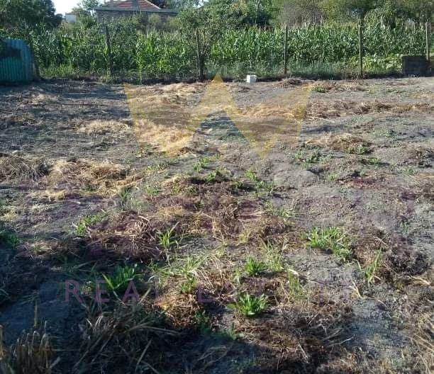 338450 -  - снимка 4 - Имоти Премиер