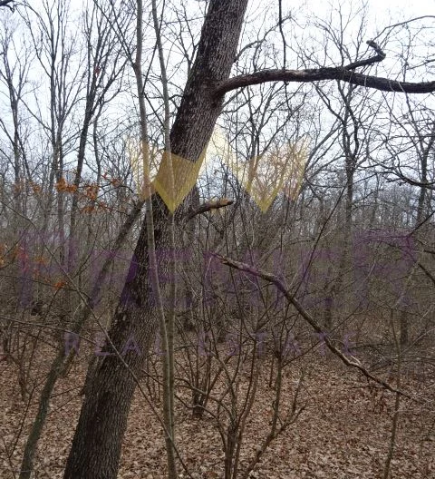 339093 - - снимка 4 - Имоти Премиер