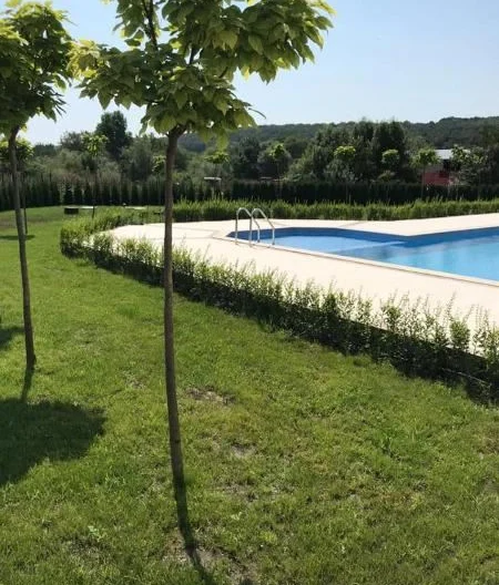 341121 - - снимка 5 - Имоти Премиер