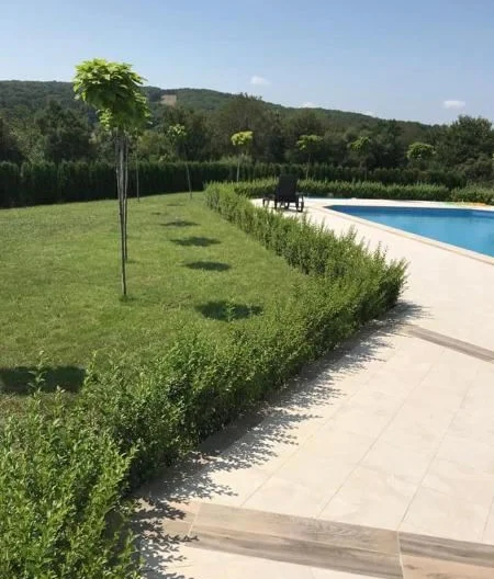 341121 - - снимка 6 - Имоти Премиер