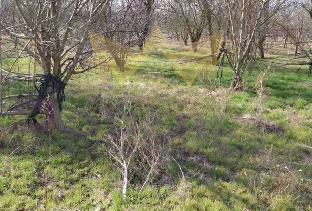 Агенция за недвижими имоти - Имоти Премиер - имот - 733467, Цена: 1140000 EUR