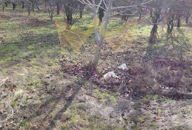 Агенция за недвижими имоти - Имоти Премиер - имот - 733467, Цена: 1140000 EUR