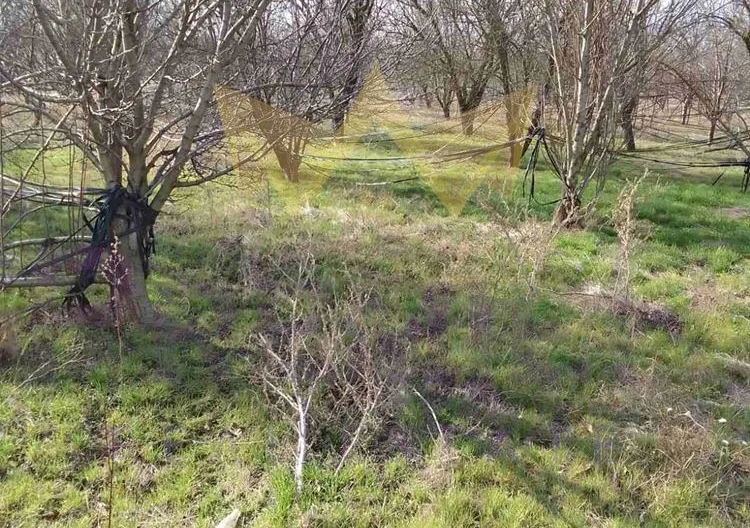 344209 -  - снимка 2 - Имоти Премиер