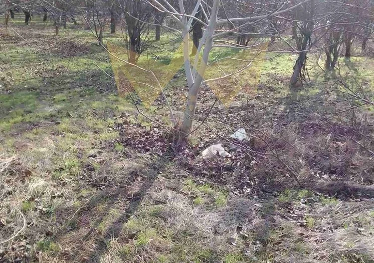 344209 -  - снимка 3 - Имоти Премиер