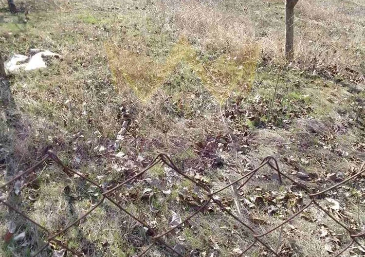 344209 -  - снимка 4 - Имоти Премиер