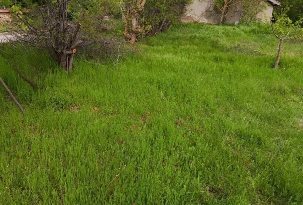 Агенция за недвижими имоти - Имоти Премиер - имот - 757839, Цена: 9000 EUR