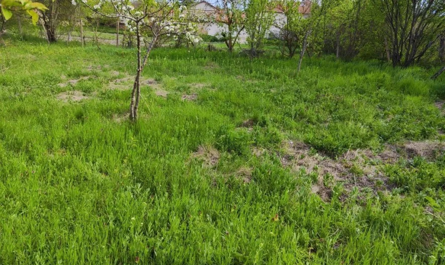 346761 -  - снимка 1 - Имоти Премиер