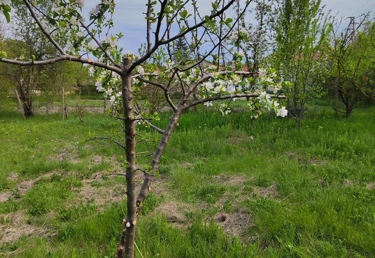 346761 -  - снимка 11 - Имоти Премиер