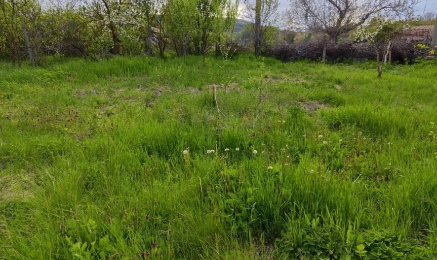 346761 - - снимка 11 - Имоти Премиер