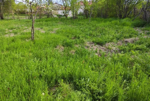 Агенция за недвижими имоти - Имоти Премиер - имот - 757839, Цена: 9000 EUR