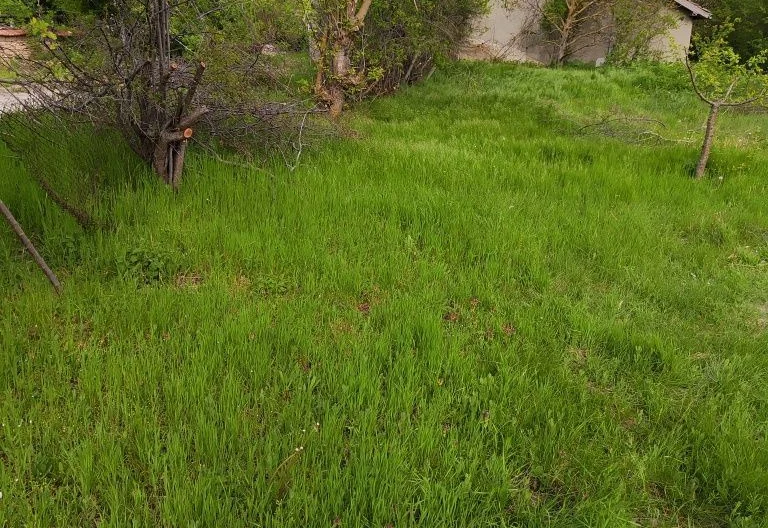 346761 -  - снимка 2 - Имоти Премиер