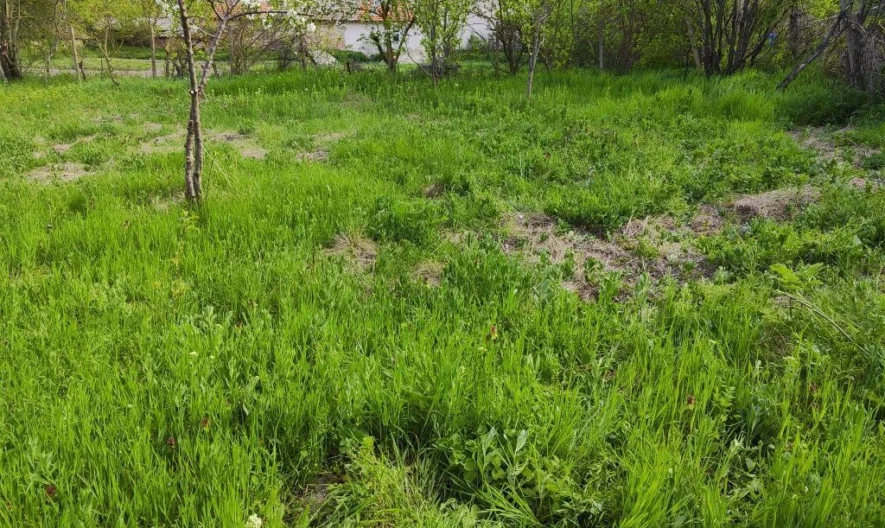 Агенция за недвижими имоти - Имоти Премиер - имот - 757839, Цена: 9000 EUR