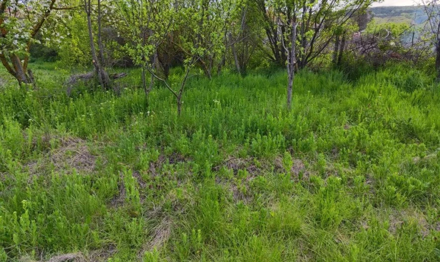 346761 -  - снимка 5 - Имоти Премиер