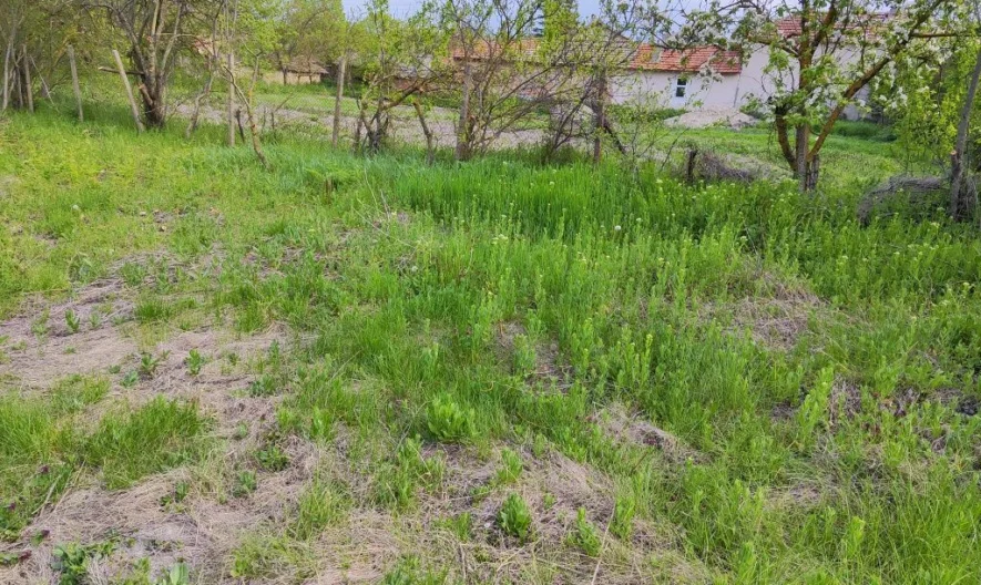 346761 -  - снимка 6 - Имоти Премиер