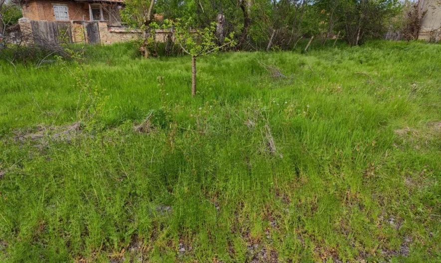 346761 -  - снимка 8 - Имоти Премиер