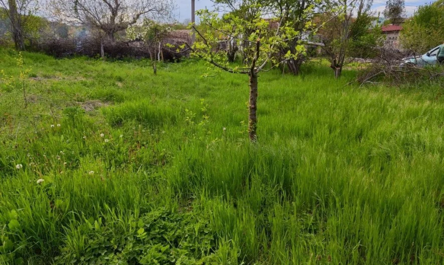 346761 -  - снимка 9 - Имоти Премиер